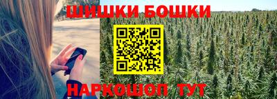 СК Абинск