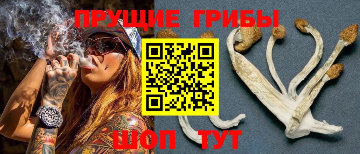 Бийск  Псилоцибиновые грибы MAGIC MUSHROOMS  Вход с VPN 