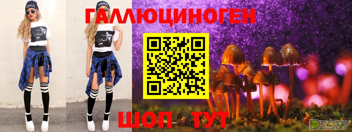 Псилоцибиновые грибы мицелий  Бийск 