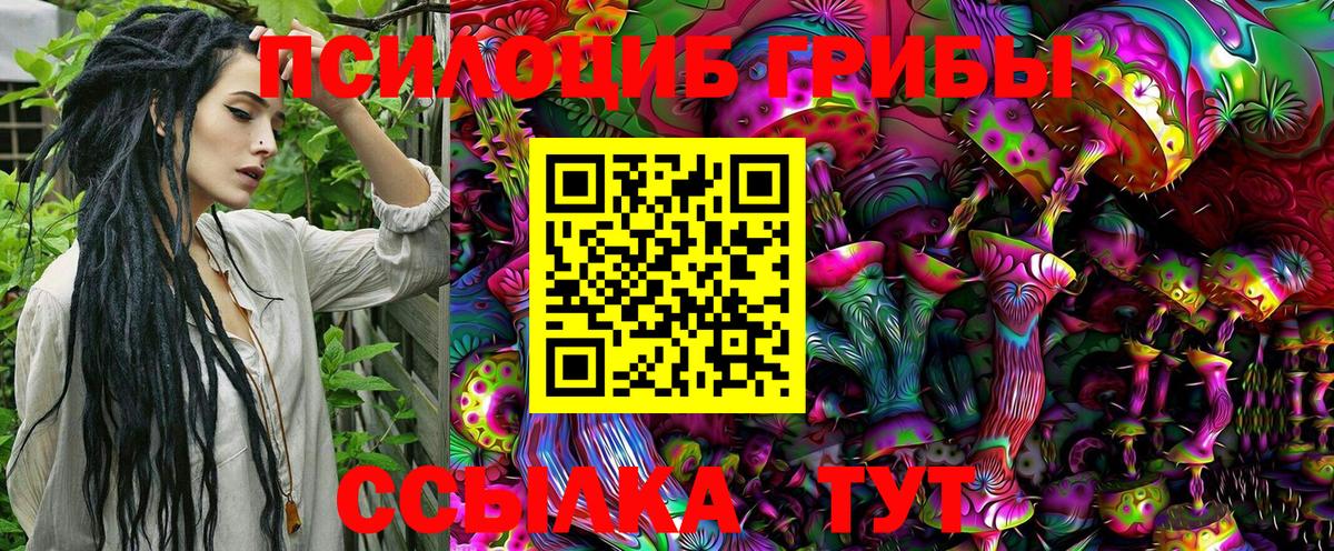Галлюциногенные грибы прущие грибы Бийск